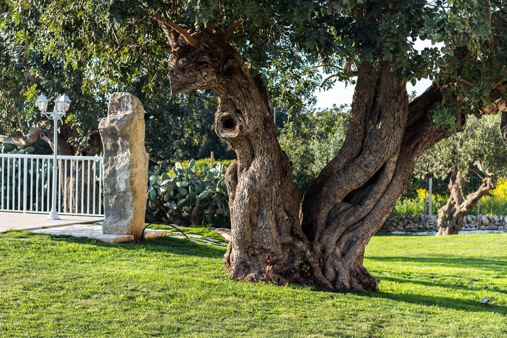 Ferienwohnung Il Giardino Dei Frangipani Santa Croce Camerina Exterior foto